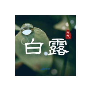 白露時節(jié)丨白露曖秋色，月明清漏中